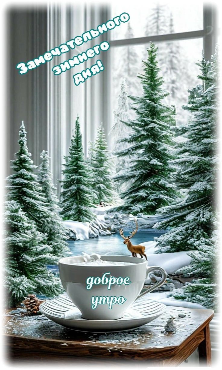 Замечательного зимнего дня!
доброе утро