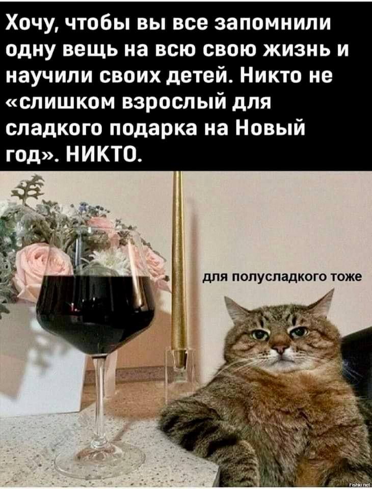 Хочу, чтобы вы все запомнили одну вещь на всю свою жизнь и научили своих детей. Никто не «слишком взрослый для сладкого подарка на Новый год». НИКТО. для полусладкого тоже