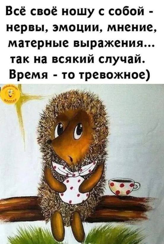 Всё своё ношу с собой - нервы, эмоции, мнение, матерные выражения... так на всякий случай. Время - то тревожное)