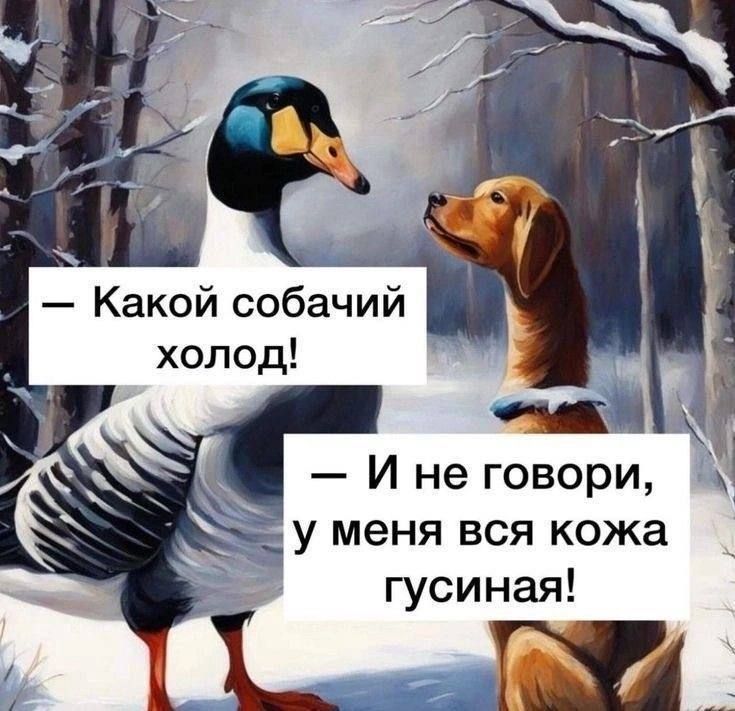 — Какой собачий холод!\n— И не говори, у меня вся кожа гусиная!