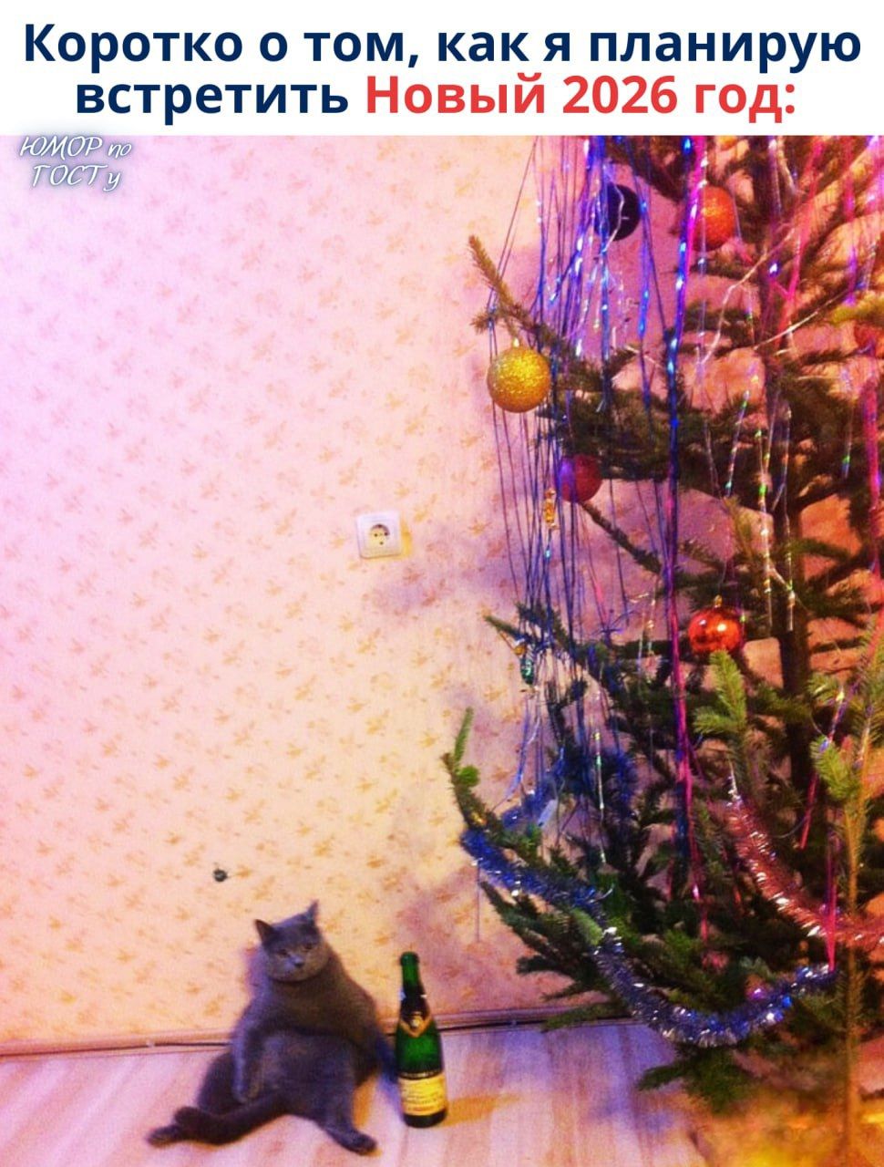 Коротко о том, как я планирую встретить Новый 2026 год:
