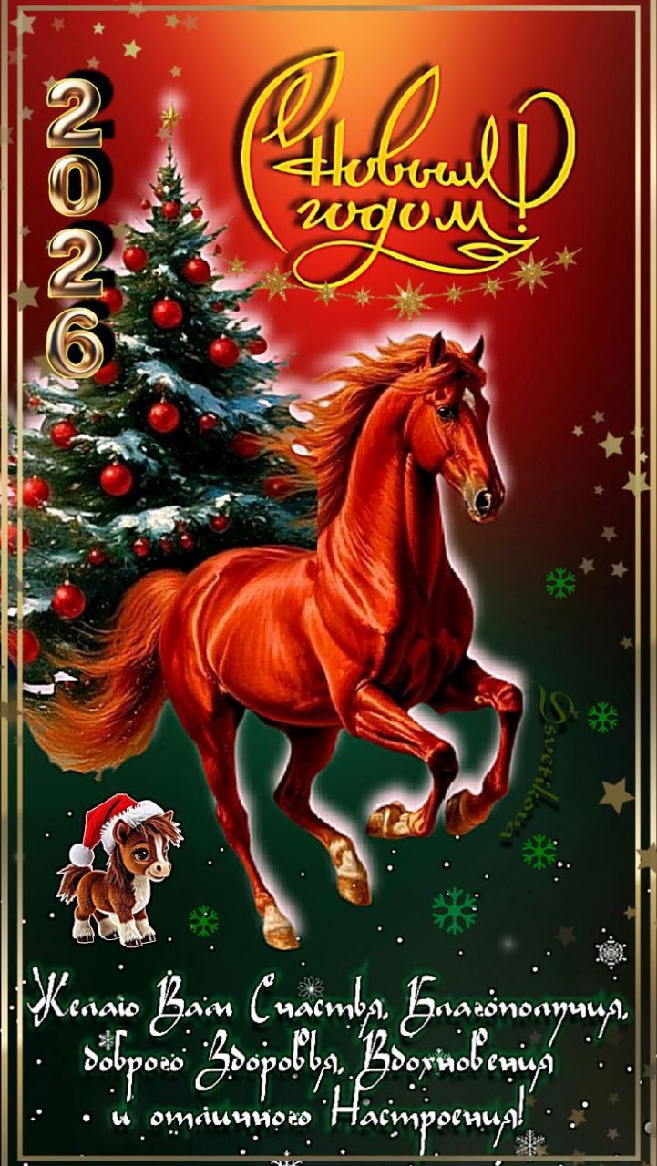 С Новым Годом! 2026. Желаю Вам счастья, благополучия, доброго здоровья, благополучия и отличного настроения!