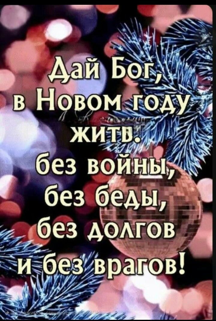 Дай Бог, в Новом году жить. без войны, без беды, без долгов и без врагов!