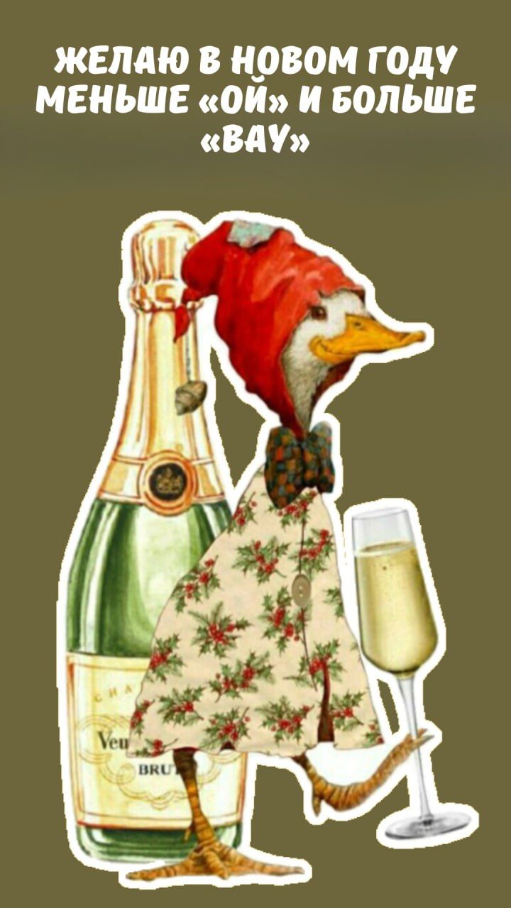 ЖЕЛАЮ В НОВОМ ГОДУ МЕНЬШЕ «ОЙ» И БОЛЬШЕ «ВАУ»