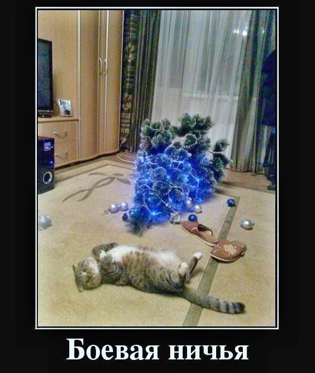 Боевая ничья