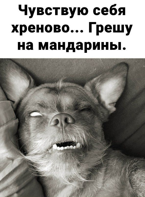 Чувствую себя хреново... Грешу на мандарины.