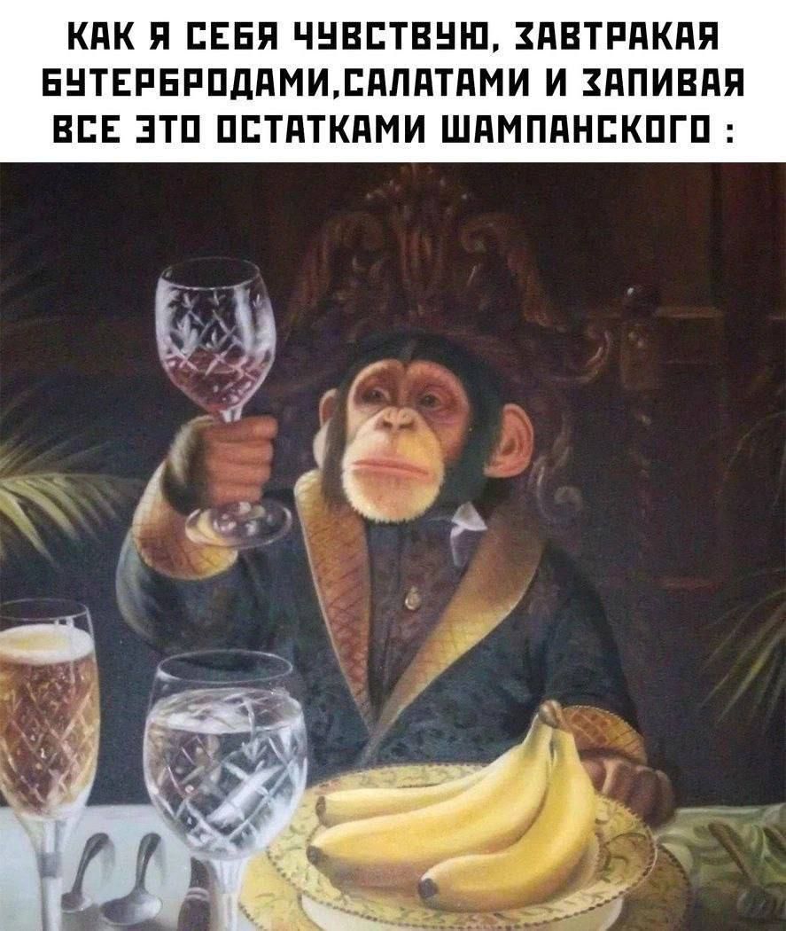 КАК Я СЕБЯ ЧУВСТВУЮ, ЗАВТРАКАЯ БУТЕРБРОДАМИ, САЛАТАМИ И ЗАПИВАЯ ВСЕ ЭТО ОСТАТКАМИ ШАМПАНСКОГО :