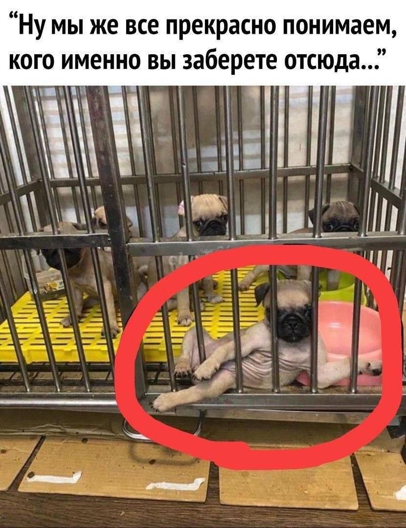 Ну мы же все прекрасно понимаем, кого именно вы заберете отсюда...
