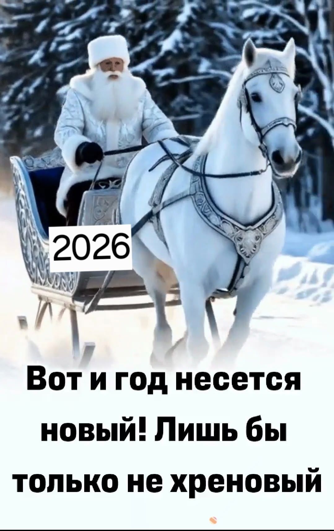 2026 Вот и год несется новый! Лишь бы только не хреновый
