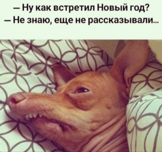 Ну как встретил Новый год? — Не знаю, еще не рассказывали...