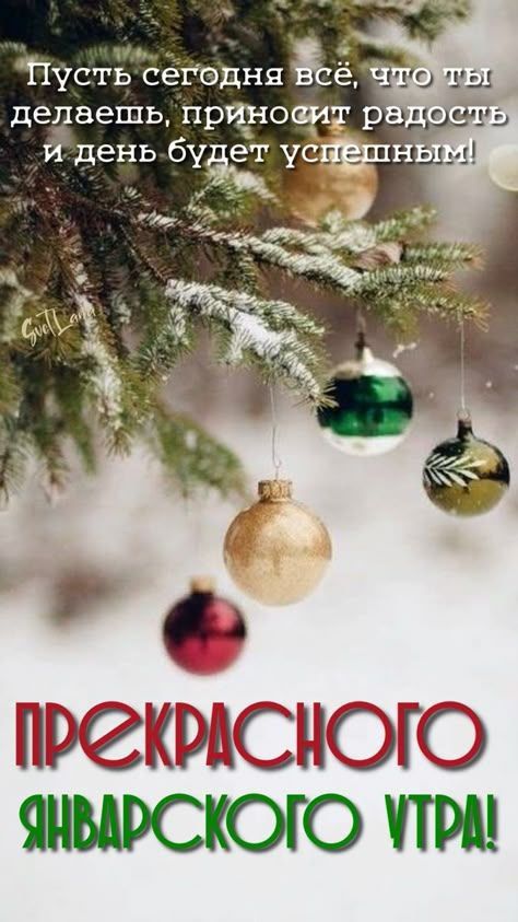 Пусть сегодня всё, что ты делаешь, приносит радость и день будет успешным! Прекрасного январского утра!