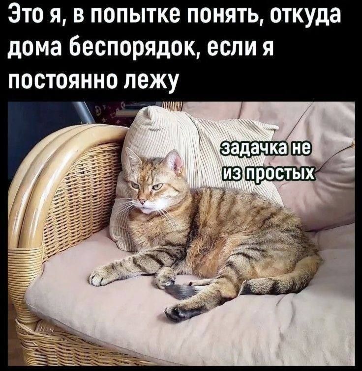 Это я, в попытке понять, откуда дома беспорядок, если я постоянно лежу. Задачка не из простых