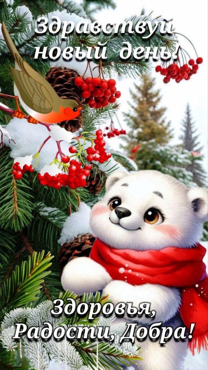 здравствуй новый день\nЗдоровья, Радости, Добра!