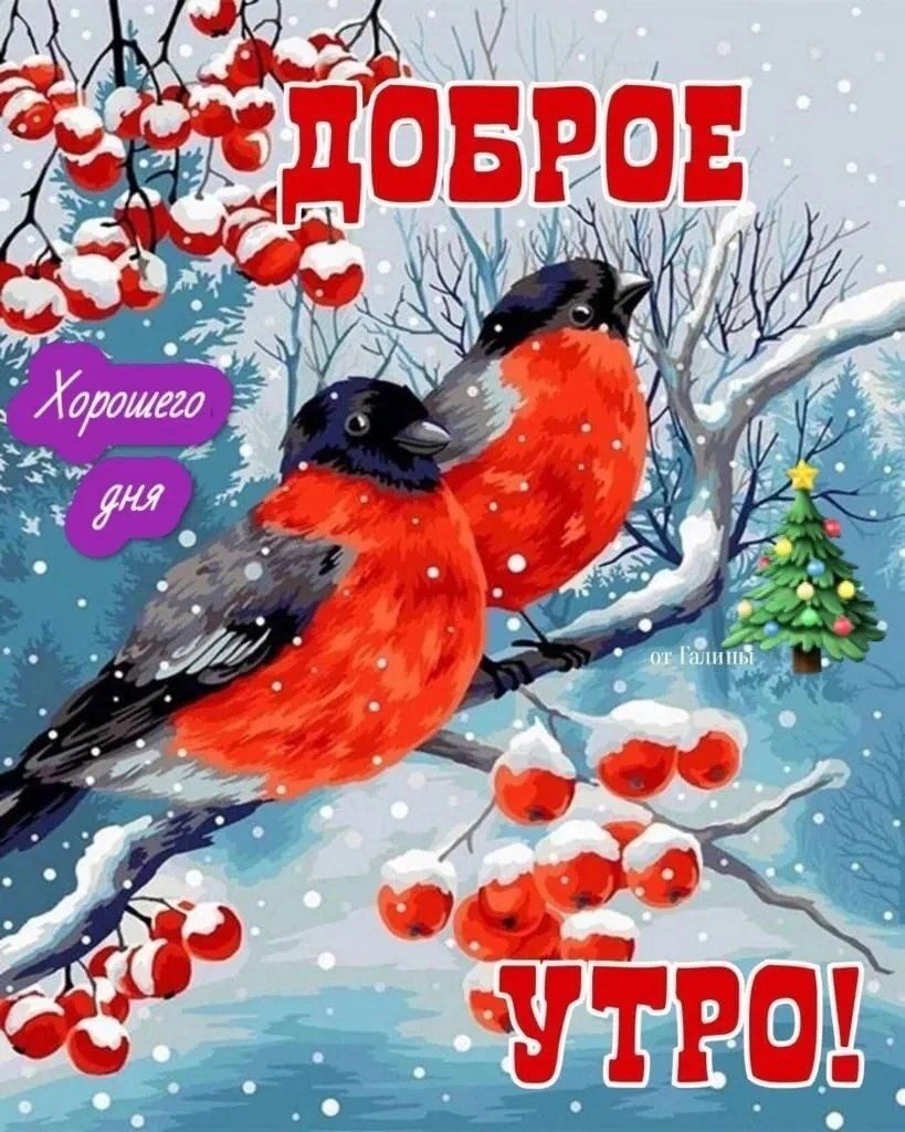 Доброе утро! Хорошего дня