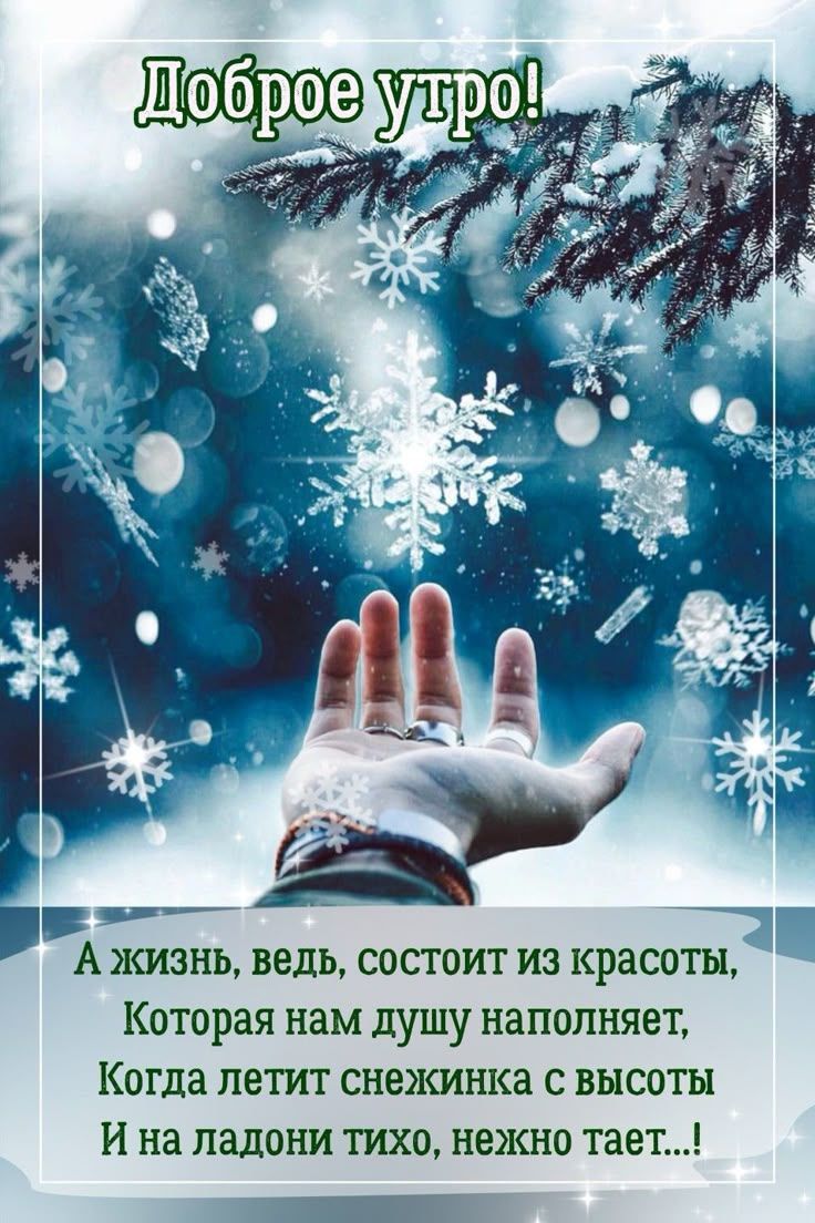 Доброе утро! А жизнь, ведь, состоит из красоты, которая нам душу наполняет, Когда летит снежинка с высоты и на ладони тихо, нежно тает...!