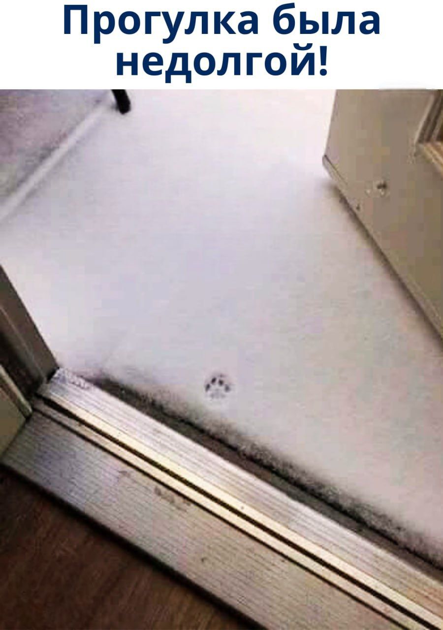 Прогулка была недолгой!