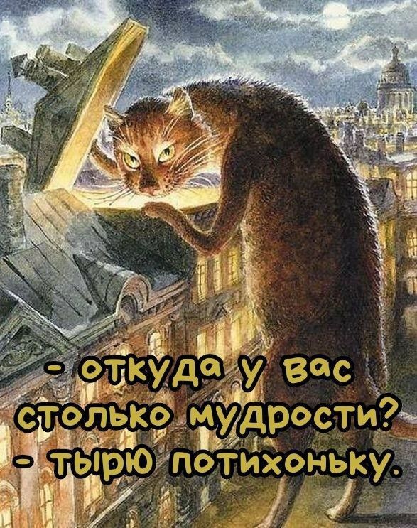 - откуда у вас столько мудрости?
- тырю потихоньку.