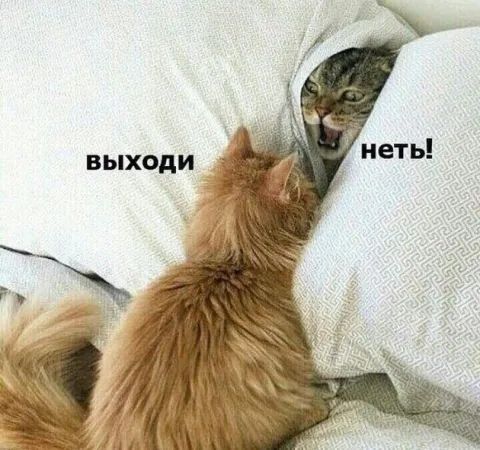 выходи неть!