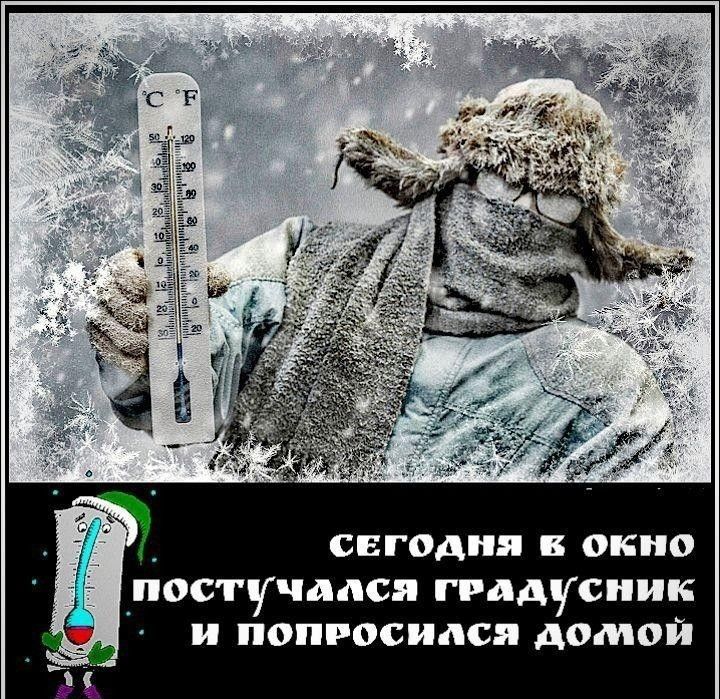СЕГОДНЯ В ОКНО ПОСТУЧАЛСЯ ГРАДУСНИК И ПОПРОСИЛСЯ ДОМОЙ