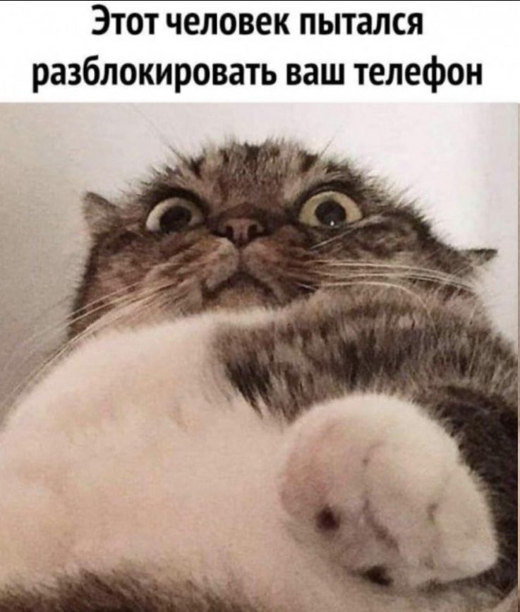 Этот человек пытался разблокировать ваш телефон