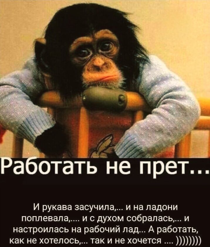 Работать не прет... И рукава засучила..., и на ладони поплевала..., и с духом собралась,... и настроилась на рабочий лад... А работать, как не хотелось,... так и не хочется .... ))))