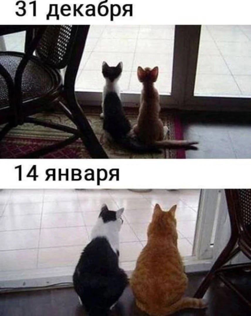 31 декабря\n14 января