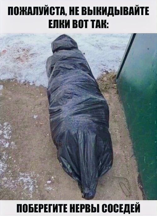 ПОЖАЛУЙСТА, НЕ ВЫКИДЫВАЙТЕ ЕЛКИ ВОТ ТАК: ПОБЕРЕГИТЕ НЕРВЫ СОСЕДЕЙ