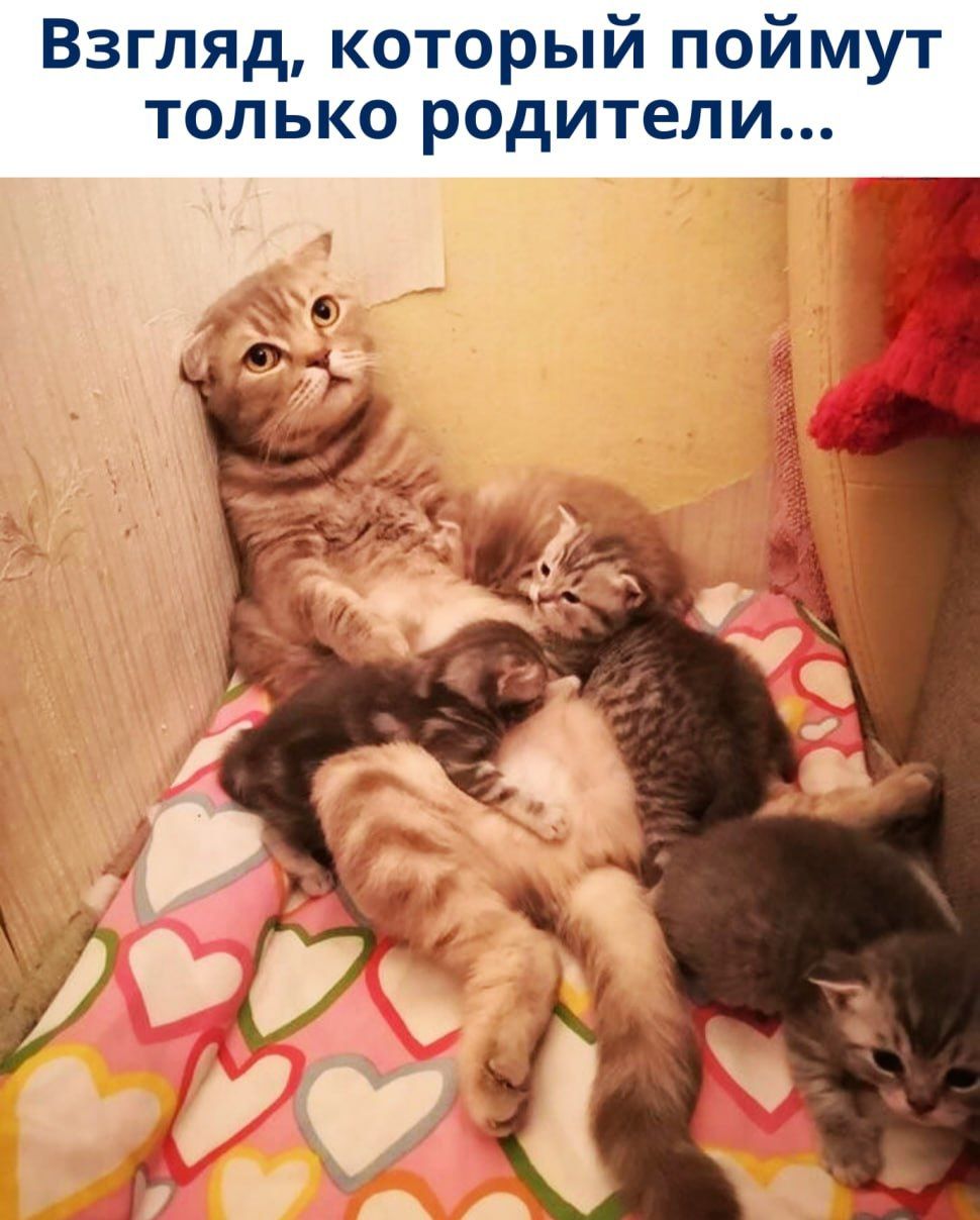 Взгляд, который поймут только родители...