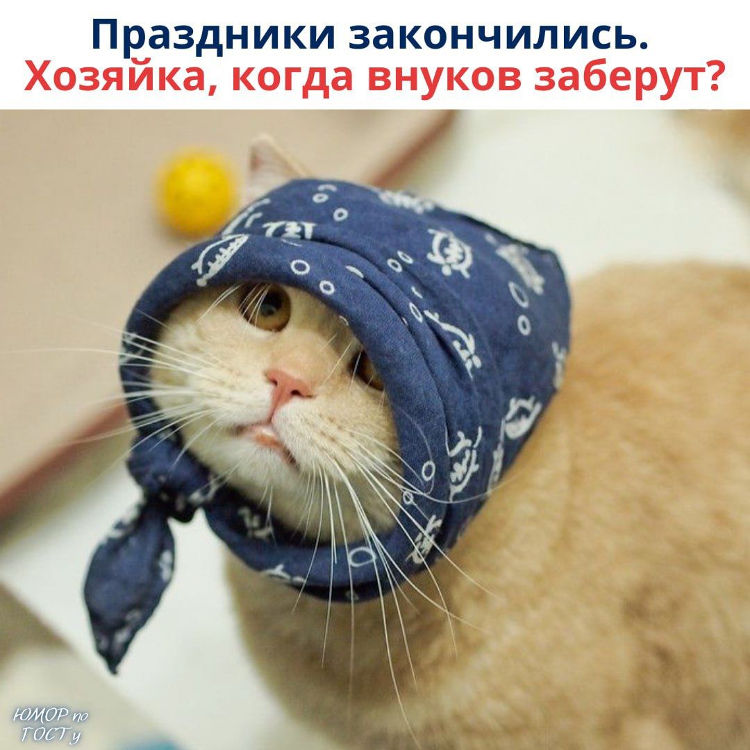 Праздники закончились. Хозяйка, когда внуков заберут?