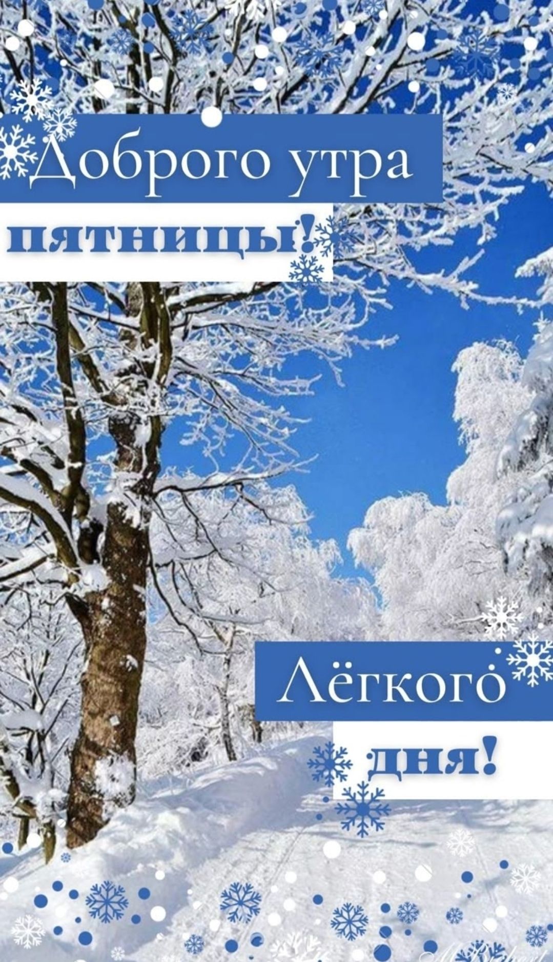 Доброго утра пятницы! Лёгкого дня!