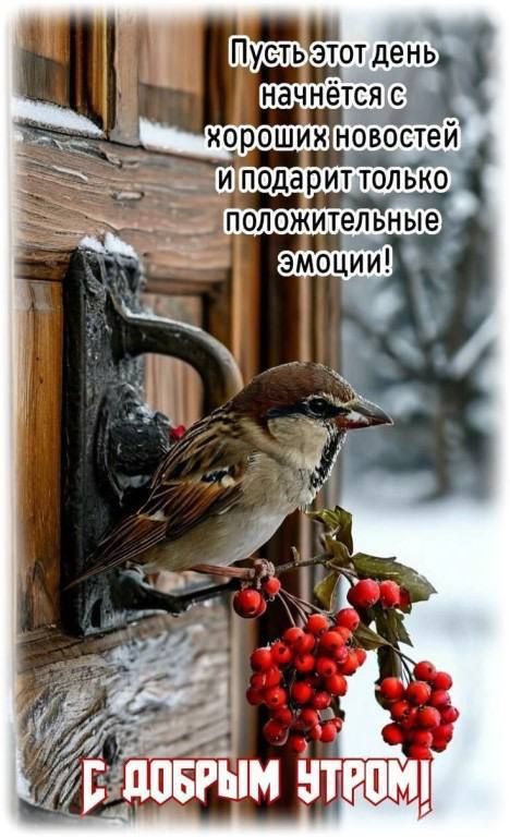 Пусть этот день начнётся с хороших новостей и подарит только положительные эмоции! С добрым утром!