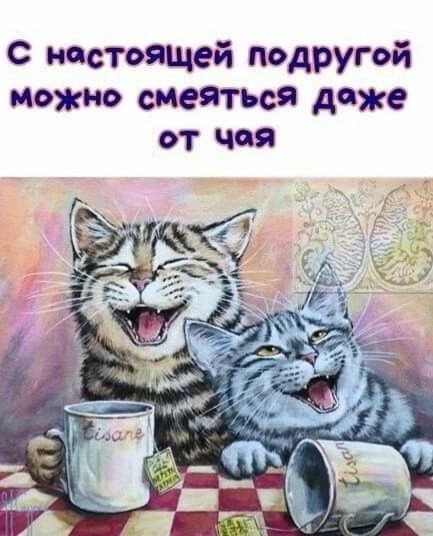 С настоящей подругой можно смеяться даже от чая
