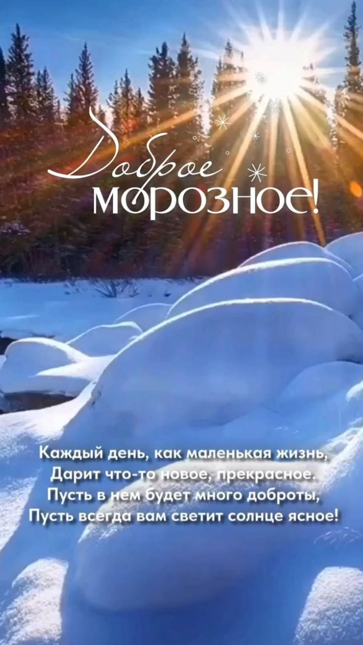 Доброе морозное! Каждый день, как маленькая жизнь, дарит что-то новое, прекрасное. Пусть в нем будет много доброты, пусть всегда вам светит солнце ясное!
