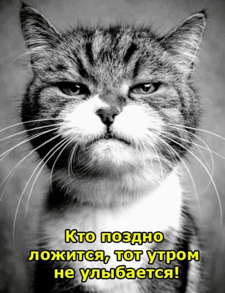 Кто поздно ложится, тот утром не улыбается!