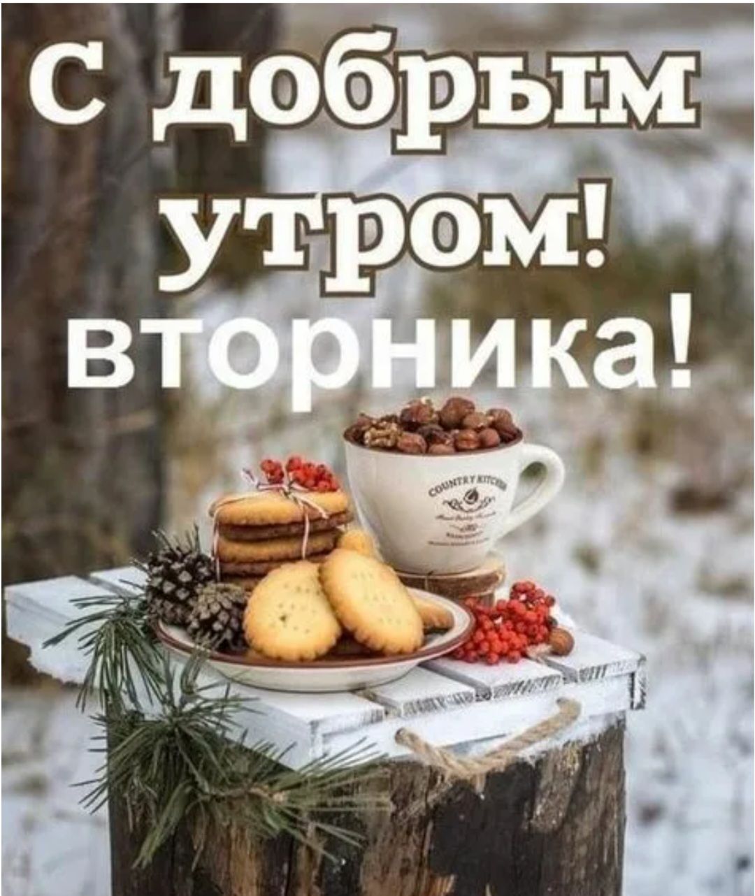 С добрым утром! вторника!