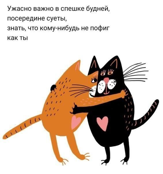 Ужасно важно в спешке будней, посередине суеты, знать, что кому-нибудь не пофиг как ты