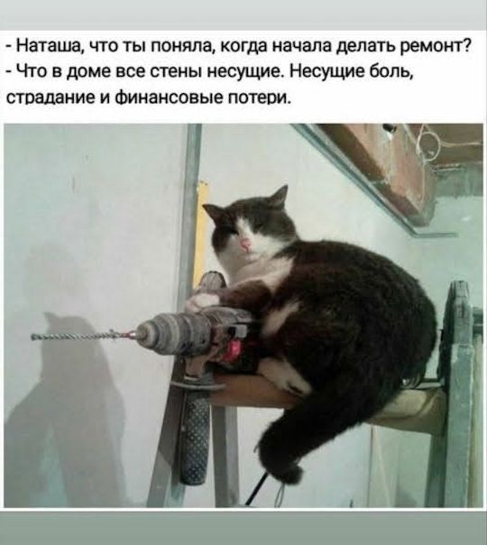 - Наташа, что ты поняла, когда начала делать ремонт? - Что в доме все стены несущие. Несущие боль, страдание и финансовые потери.