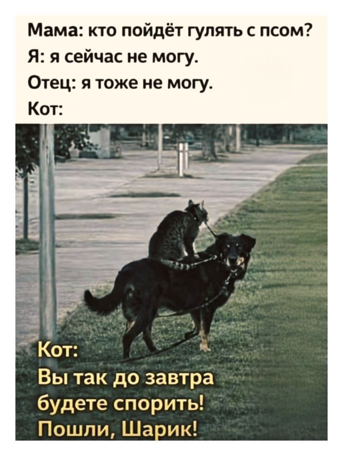 Мама: кто пойдет гулять с псом? Я: я сейчас не могу. Отец: я тоже не могу. Кот: Вы так до завтра будете спорить! Пошли, Шарик!