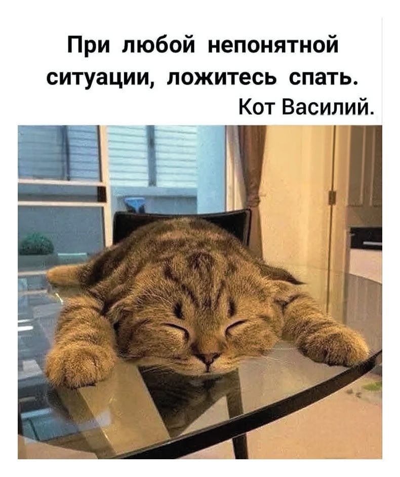 При любой непонятной ситуации, ложитесь спать. Кот Василий.