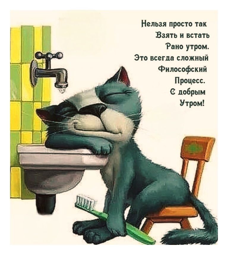 Нельзя просто так взять и встать рано утром. Это всегда сложный философский процесс. С добрым утром!