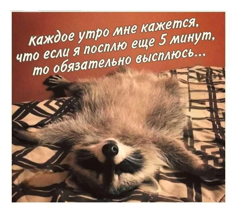 каждое утро мне кажется, что если я посплю ещё 5 минут, то обязательно высплюсь...