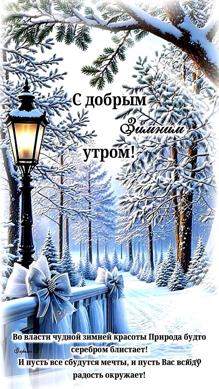 С добрым утром! Зимний. Во власти чудной зимней красоты природа будто серебром блестает! И пусть все сбудутся мечты, и пусть Вас всюду радость окружает!