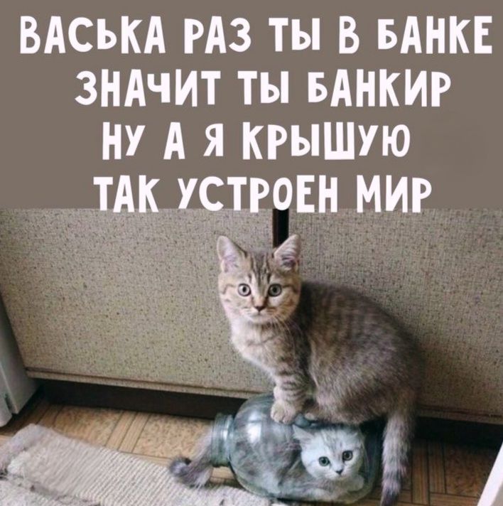 ВАСЬКА РАЗ ТЫ В БАНКЕ ЗНАЧИТ ТЫ БАНКИР НУ А Я КРЫШУЮ ТАК УСТРОЕН МИР