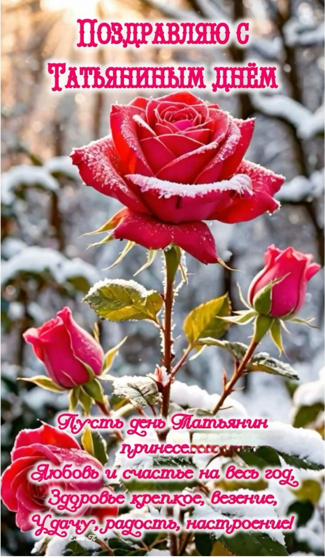 Поздравляю с Татьяниным днём
Пусть день Татьяны принесет... Любовь и счастье на весь год, Здоровье крепкое, везение, Удачу, радость, настроение!
