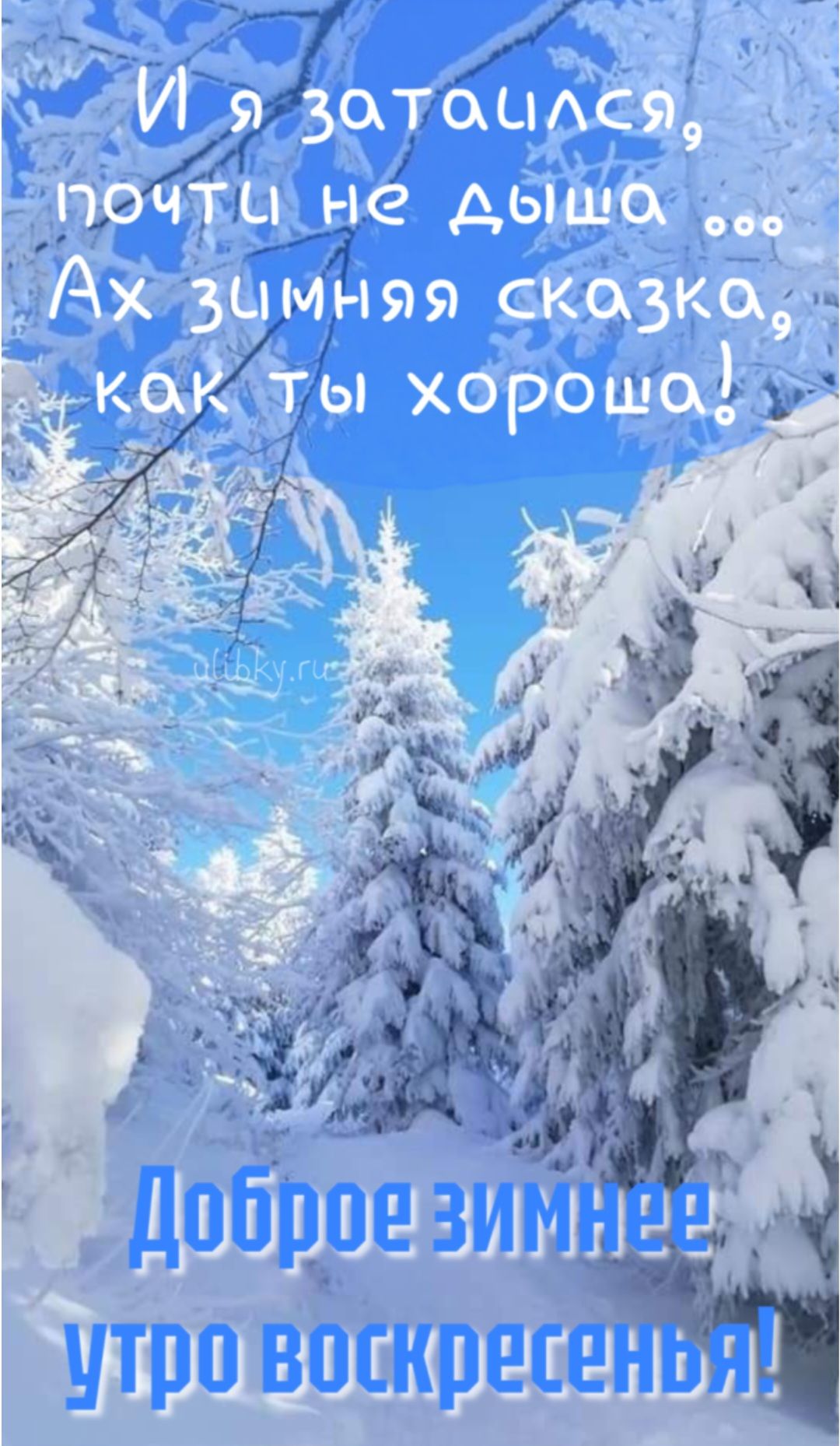 И вы затаились, почти не дыша ... Ах зимняя сказка, как ты хороша! Доброе зимнее утро воскресенья!