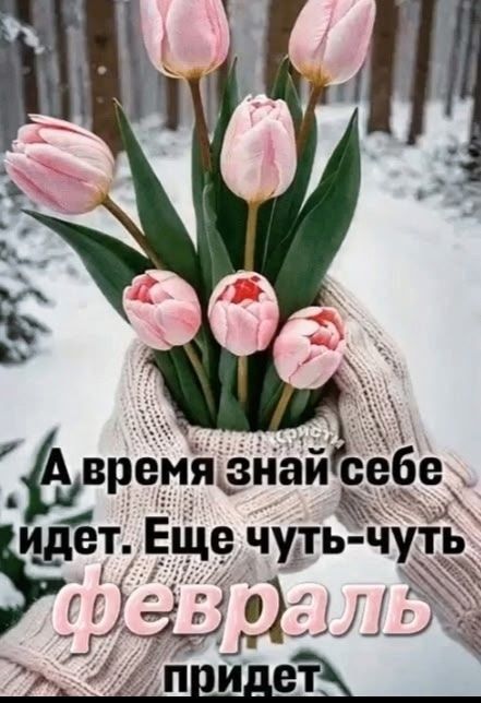 А время знай себе идёт. Ещё чуть-чуть февраль придет