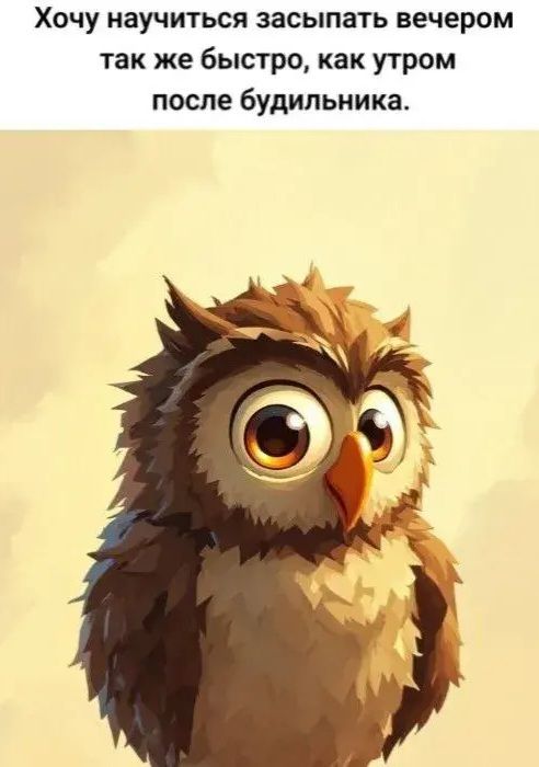 Хочу научиться засыпать вечером так же быстро, как утром после будильника.