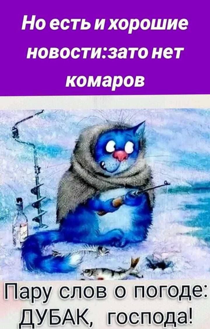 Но есть и хорошие новости: зато нет комаров
Пару слов о погоде: Дубак, господа!