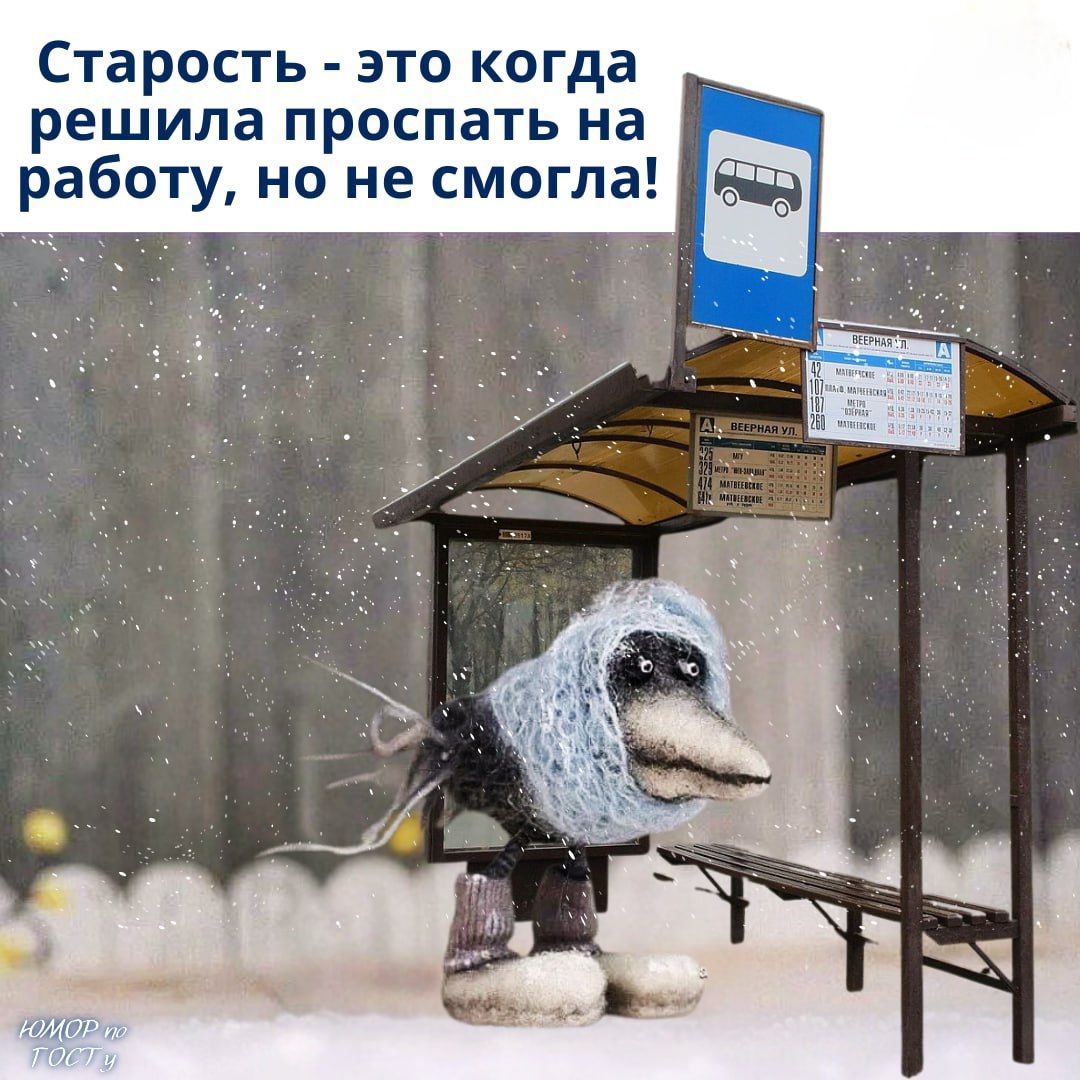 Старость - это когда решила проспать на работу, но не смогла!