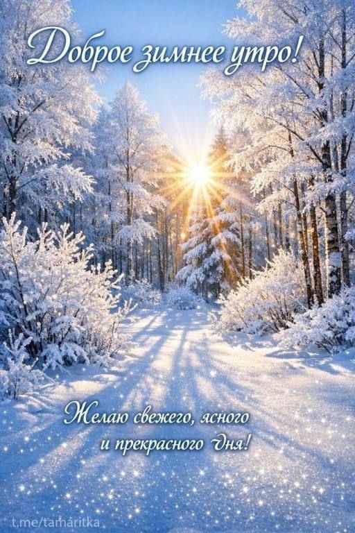 Доброе зимнее утро!\nЖелаю свежего, ясного и прекрасного дня!